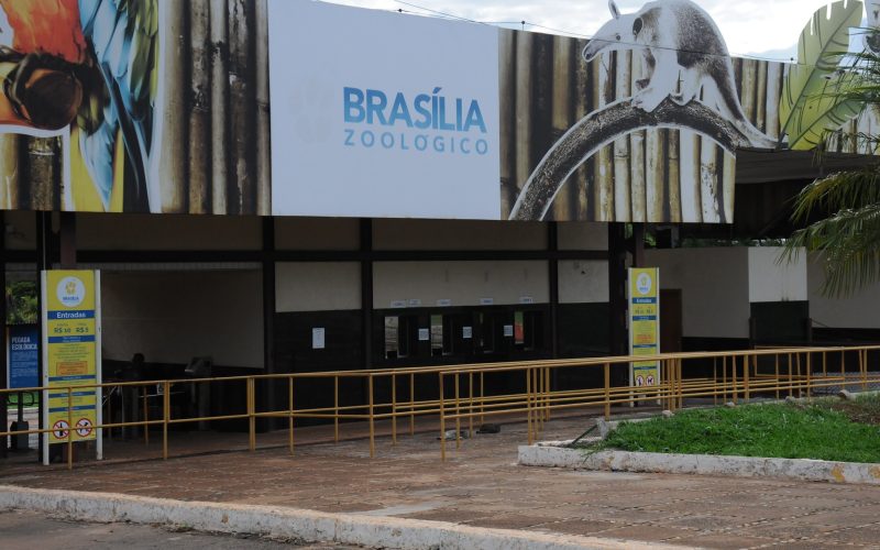 Governo confirma primeiro caso de gripe aviária em Brasília