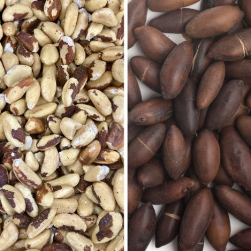 Brasil abre mercados para o agro na Malásia e em Mianmar