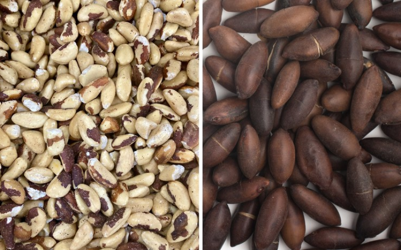 Brasil abre mercados para o agro na Malásia e em Mianmar