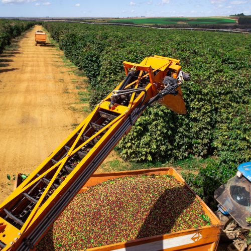 Pedidos de recuperação judicial dispararam no 3º trimestre deste ano; ouça o comentário