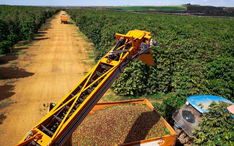 Pedidos de recuperação judicial dispararam no 3º trimestre deste ano; ouça o comentário