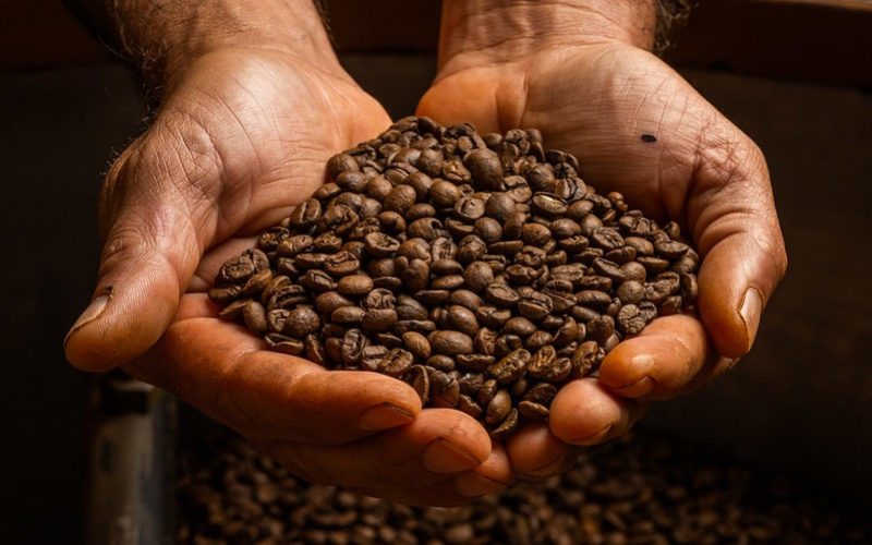 Após interrupção, café volta a subir em Nova York