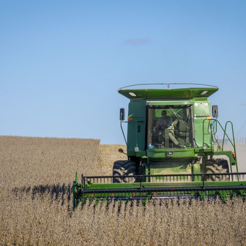 Preço da soja cai em Chicago de olho na produção da América do Sul