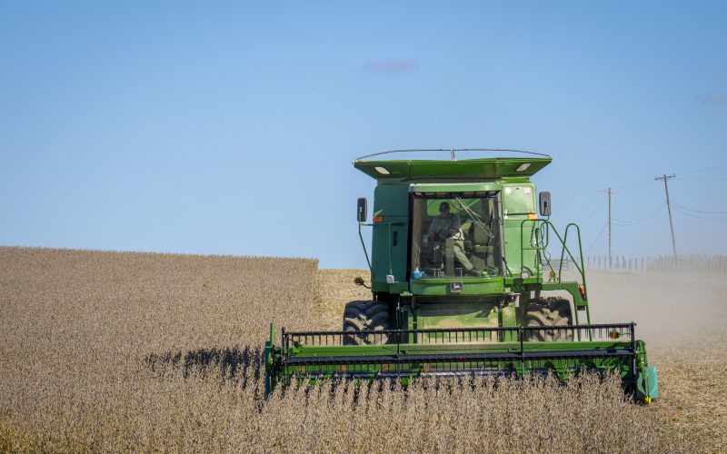 Preço da soja cai em Chicago de olho na produção da América do Sul