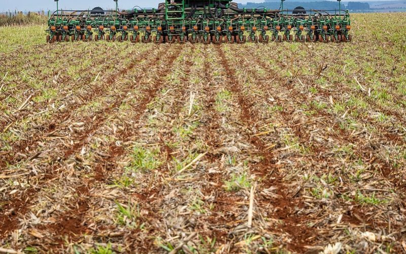 SLC Agrícola tem prejuízo de R$ 14,5 milhões no terceiro trimestre