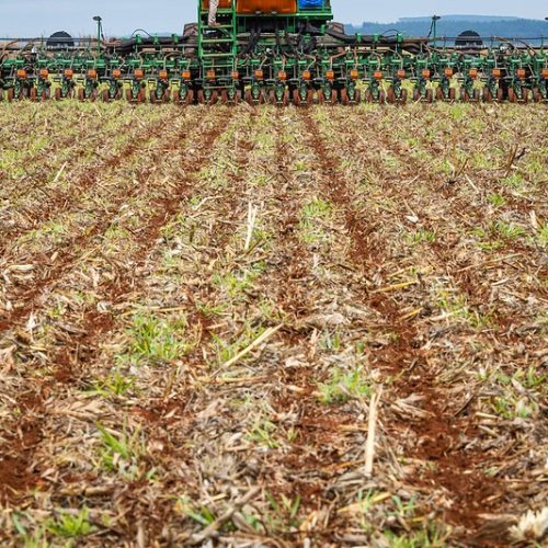 SLC Agrícola tem prejuízo de R$ 14,5 milhões no terceiro trimestre