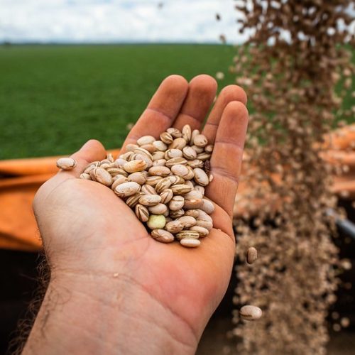 México retira isenção de importação para diversos alimentos
