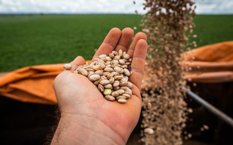 México retira isenção de importação para diversos alimentos