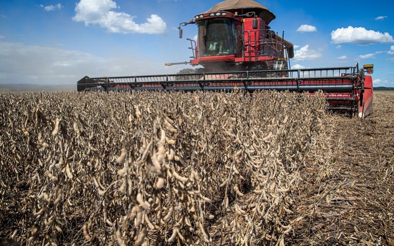 Com pressão de oferta do Brasil, preço da soja cai em Chicago