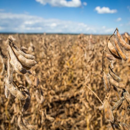 Justiça suspende alienação de imóveis do Grupo Diehl