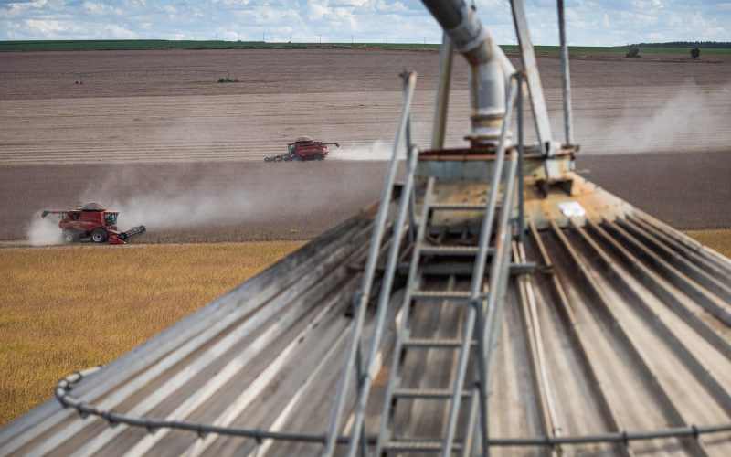 Problemas logísticos do agronegócio tendem a se agravar, afirmam especialistas
