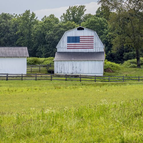 Trump estuda ajuda de até US$ 14 bilhões aos produtores americanos