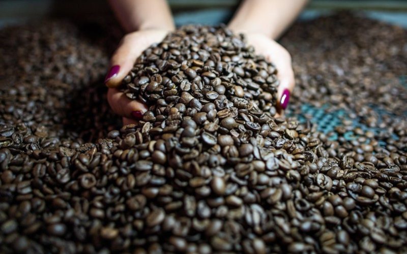Café sobe mais de 2% em Nova York devido às incertezas na oferta