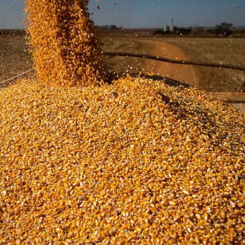 Governo abre crédito extraordinário de R$ 190 milhões para Desenvolvimento Agrário