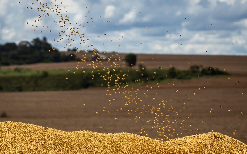 Preços da soja caem em Chicago com redução das vendas nos EUA