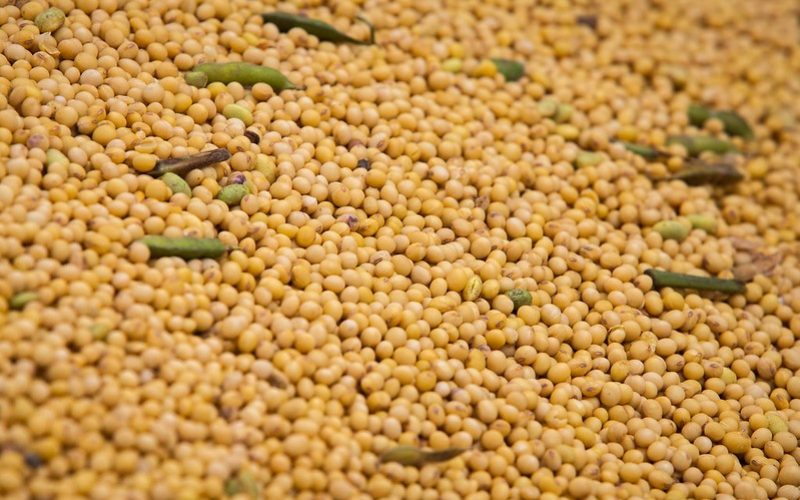 Soja sobe em Chicago com expectativa de acordo entre China e EUA