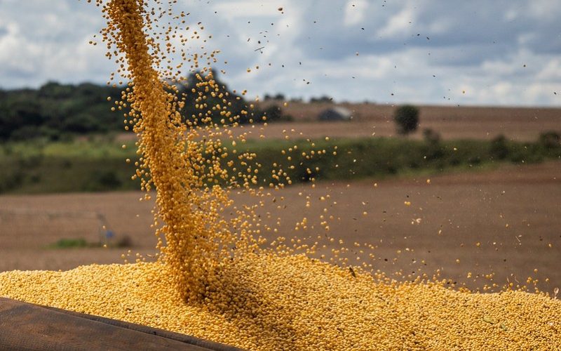 Justiça do Maranhão aprova pedido de recuperação do Grupo Safras Evolução