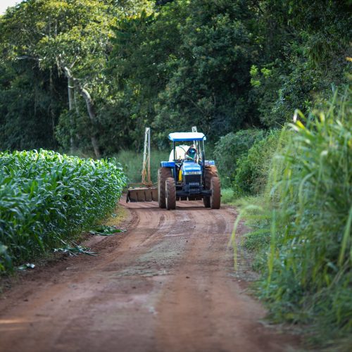 Santa Catarina estrutura programa para cooperativas com R$ 1 bilhão em crédito
