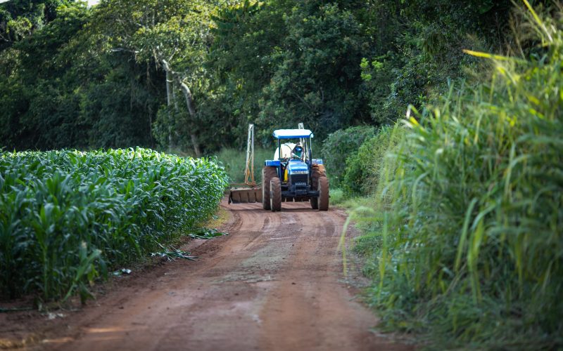 Santa Catarina estrutura programa para cooperativas com R$ 1 bilhão em crédito