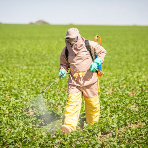 Julgamento do STF de benefícios fiscais a agrotóxicos será retomado na próxima semana