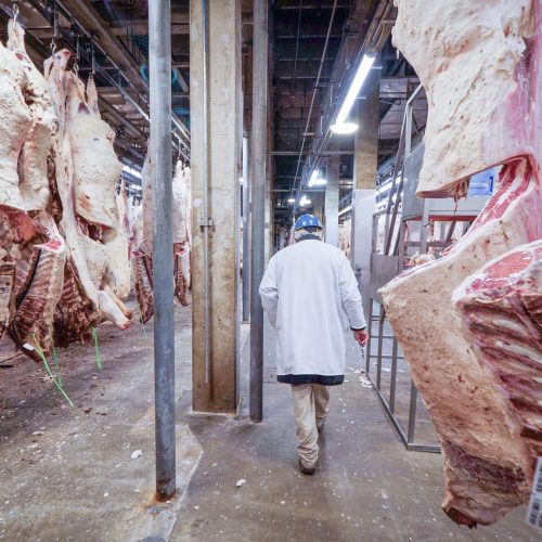 Senadores dos EUA preparam projeto que levaria a desmembramento de frigoríficos, diz jornal