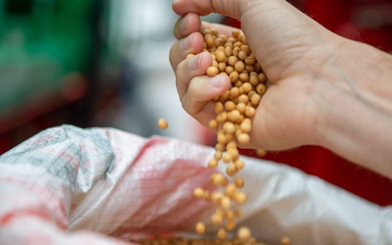 Soja sobe em Chicago após suspensão chinesa de tarifas