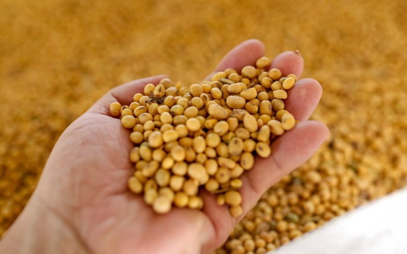 Soja sobe em Chicago após China sinalizar trégua na guerra comercial