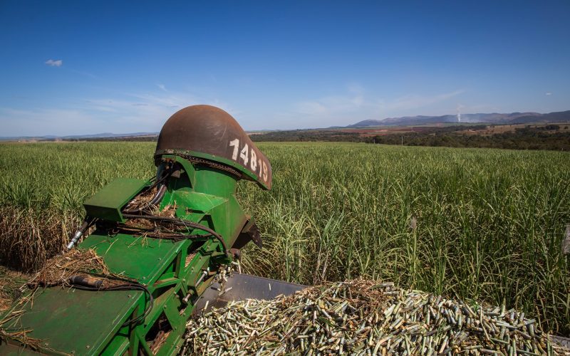 Moagem de cana-de-açúcar recua mais de 30% entre janeiro e abril