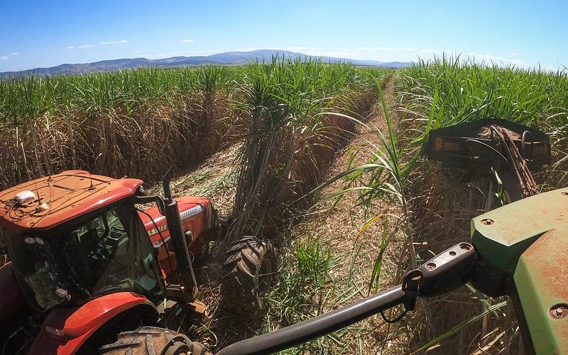 Jalles registrou prejuízo líquido com quebra na safra de cana