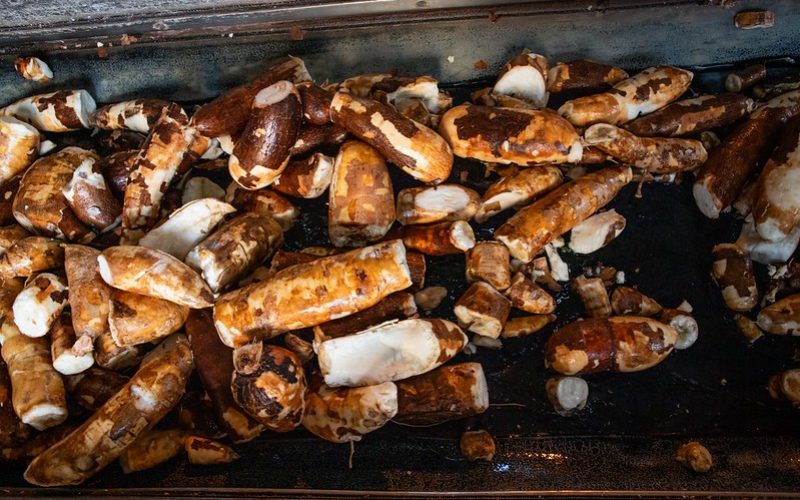 Retomada da demanda limita queda de preços da mandioca