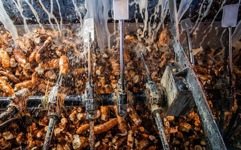 Produção de fécula de mandioca deve crescer 20,9% em 2025, diz Cepea
