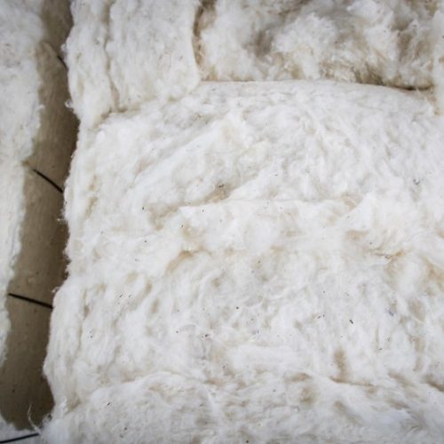 Exportações de algodão caíram em volume e receita em janeiro