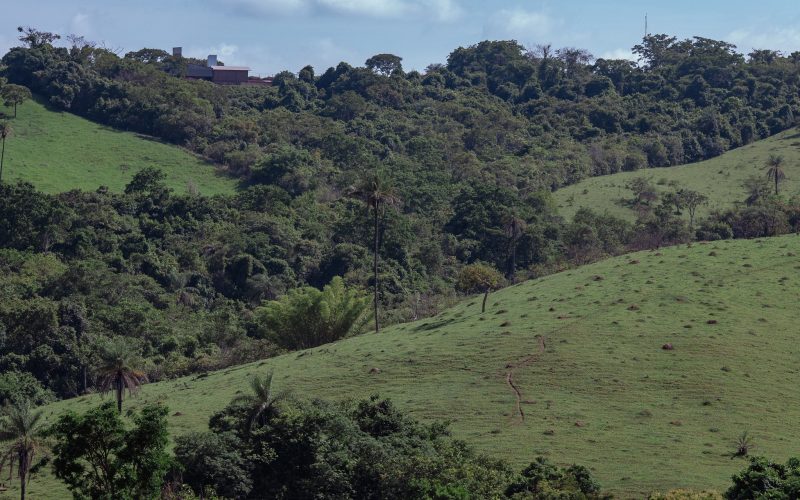 No Congresso, 89 projetos de lei propõem alterações no Código Florestal