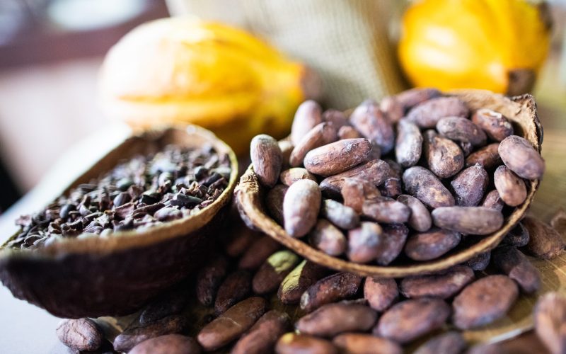 Cacau registra alta em meio a ajuste técnico em Nova York