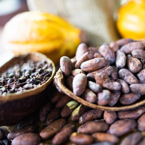 Moagem de cacau recuou 14,6% no Brasil em 2025