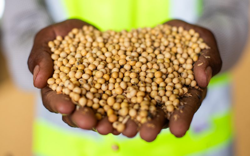 Soja recua em Chicago, mas fecha semana com saldo positivo