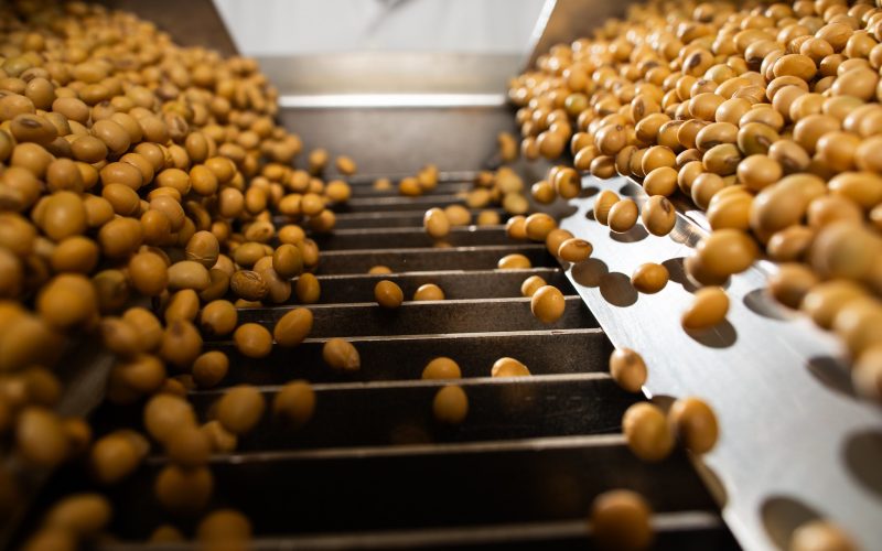 Cresce a participação do PIB da soja na economia do Brasil; ouça o comentário