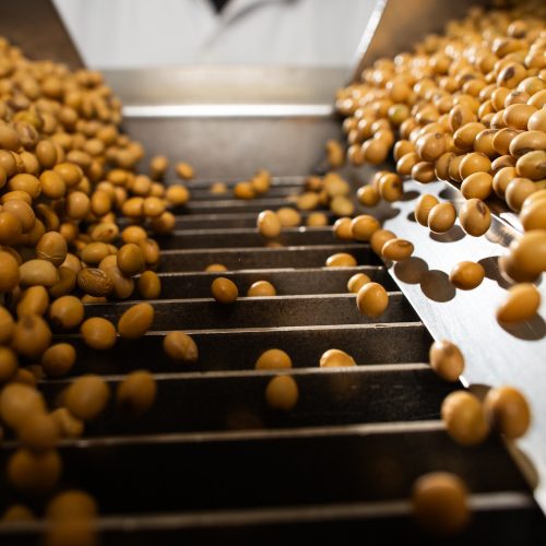 Mesmo com preço maior, produtor de soja mantém cautela nas negociações