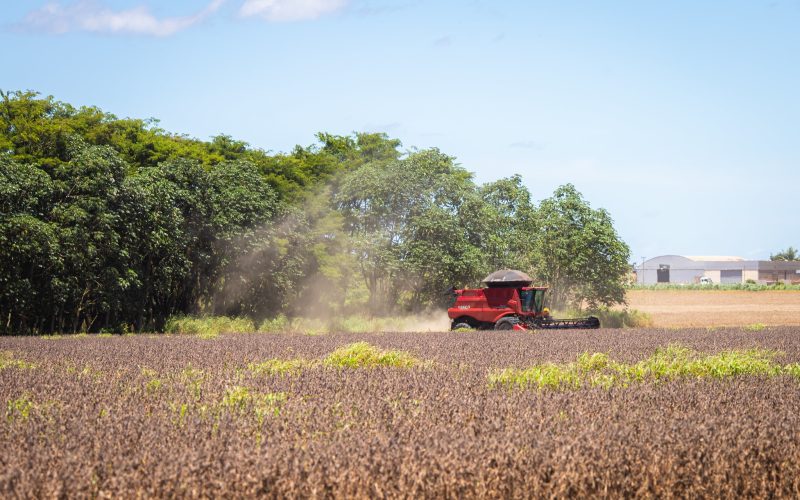 Plano Clima prevê emissões de 649 milhões de toneladas de CO2 equivalente em 2030