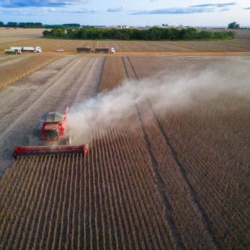 Plano Safra da Agricultura Empresarial 25/26 terá R$ 515 bilhões