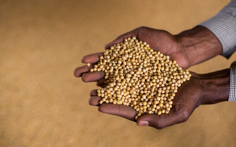Produção de soja no Brasil deve superar 182 milhões de toneladas em 2025/26