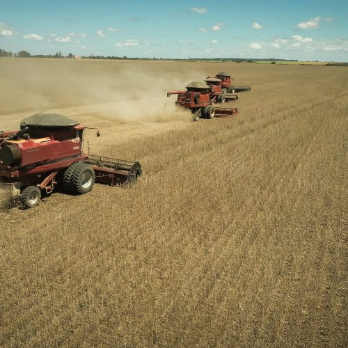 Aluguel de máquinas agrícolas ganha força e começa a se consolidar no Brasil