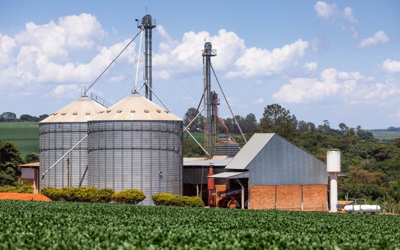 Produtores pedem linha de crédito para armazenagem; déficit já chega 120 milhões de toneladas