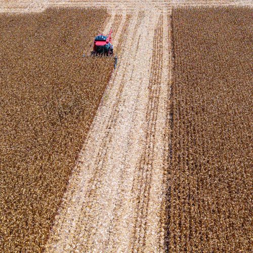 Em outubro, mercado de commodities agrícolas se posicionou entre oferta, demanda e geopolítica