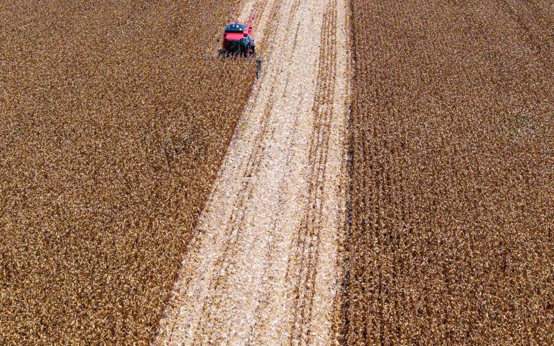 Em outubro, mercado de commodities agrícolas se posicionou entre oferta, demanda e geopolítica