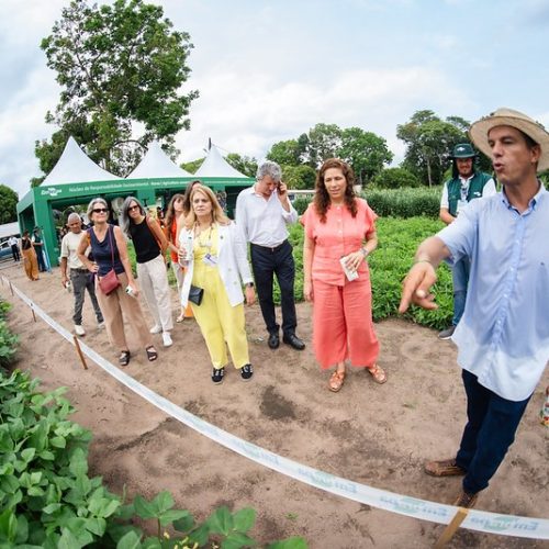 Agro apresenta produção sustentável do Brasil a negociadores globais e amplia espaço na COP