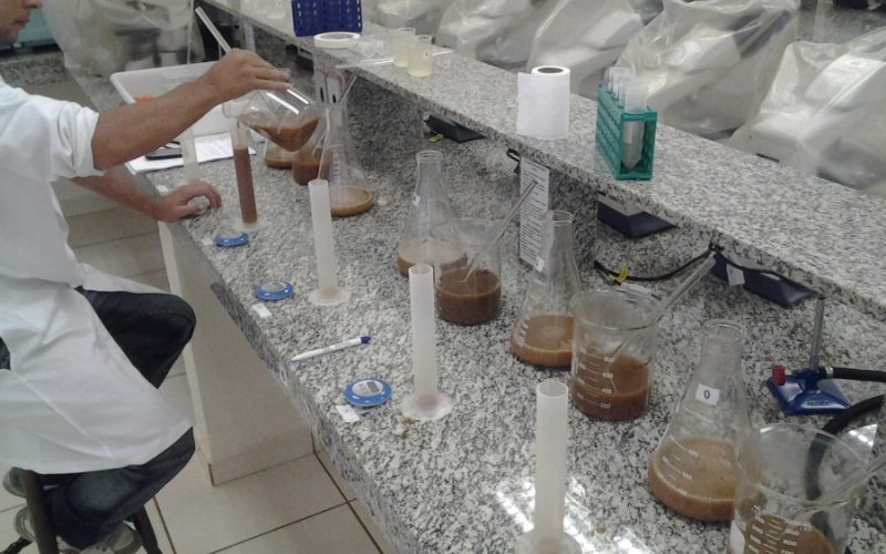 Qualidade de derivados da cana-de-açúcar se mantém 24 horas após a colheita