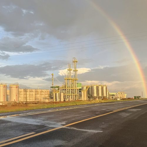 Usinas de etanol de trigo criam nova demanda para cereal no RS