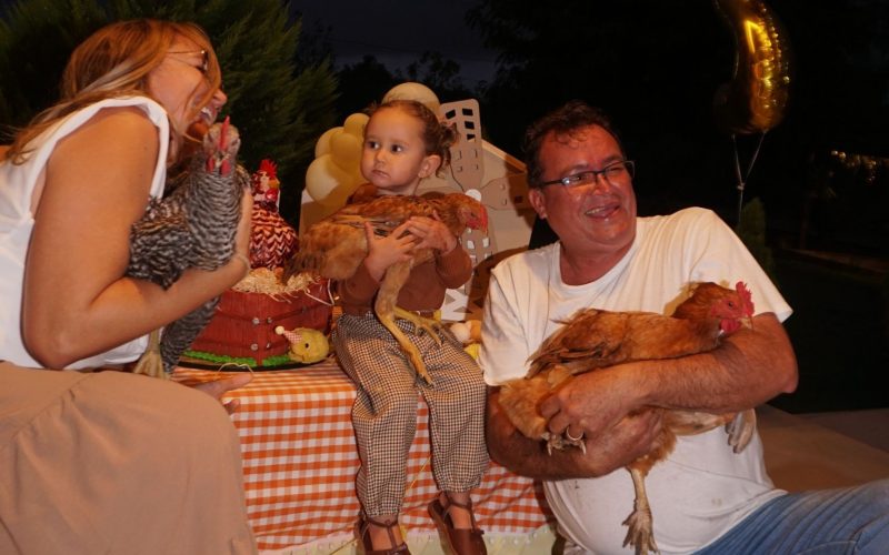 Festa de aniversário em Pernambuco viraliza com galinhas como convidadas