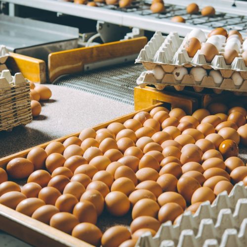 Ministério da Agricultura anuncia abertura de mercados em Japão,  Coreia do Sul, Cingapura, Índia e Egito